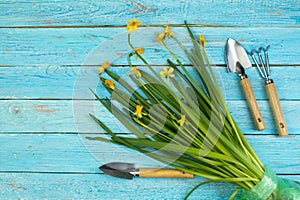 Composition with flowers and gardening tools on the wooden background with space for text