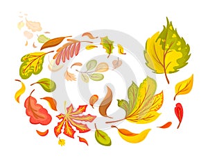 Composition of flying autumn colorful leaves vector