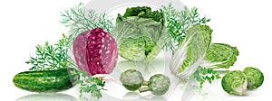 Composition of fresh cabbages and cucumber, artichokes on a transparent background. Mesh vector illustration