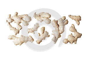 Composition of fresh ginger root on the