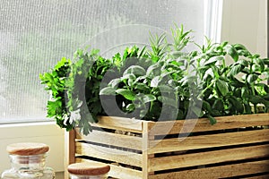 composition of fresh herbs in a basket on the kitchen windowsill,