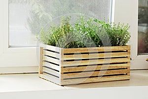 composition of fresh herbs in a basket on the kitchen windowsill