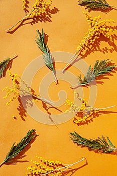 Composition of fresh plant twigs against yellow background