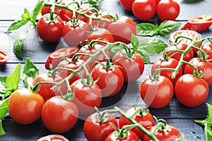 Composition of fresh ripe cherry tomatoes, rammarine, basil and spices on blue wooden