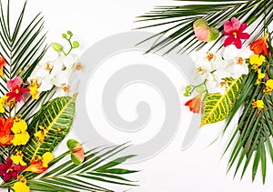 Composition with fresh tropical leaves and exotic flowers on white background