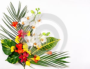 Composition with fresh tropical leaves and exotic flowers on white background