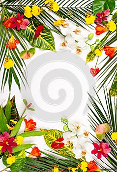 Composition with fresh tropical leaves and exotic flowers on white background