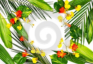 Composition with fresh tropical leaves and exotic flowers on white background