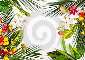 Composition with fresh tropical leaves and exotic flowers on white background