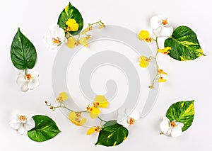 Composition with fresh tropical leaves and exotic flowers on white background