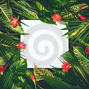 Composition with fresh tropical leaves and exotic flowers on white background photo