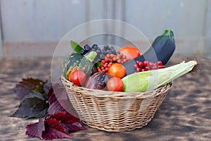 Composition of fresh vegetables in a basket on a wooden background. Autumn harvest. Happy Thanksgiving.