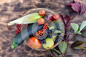 Composition of fresh vegetables in a basket on a wooden background. Autumn harvest. Happy Thanksgiving. Top view.