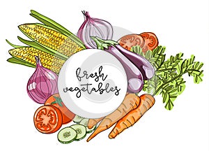 Composition of fresh vegetables vector illustration sketch eleme
