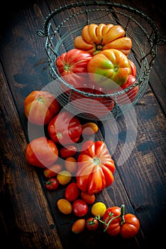 Composition of freshly picked fresh tomatoes