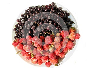 Composition of frozen strawberries and currant