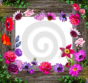 Composition of Garden flowers on wooden background.