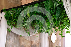 Composition from garland flowers and plants on wall. Wall with curly green plants garlands hanging from ceiling.