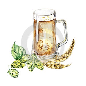 Composition of glass beer, hop cones and wheat ears watercolor illustration isolated on white.