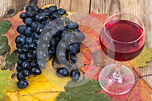 Composition with glass of red wine and grapes on wooden table close-up