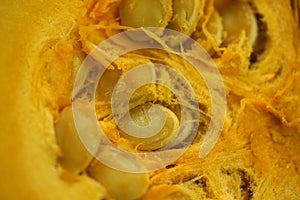 Composition with green hokkaido pumpkins