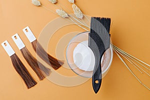 Composition of hair samples, bowl of die developer, black brush, cereal spikes