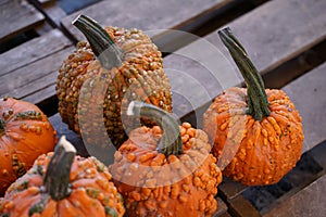 Composition with halloween pumpkins