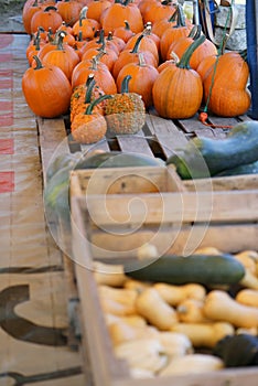 Composition with halloween pumpkins