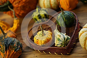 Composition with halloween pumpkins