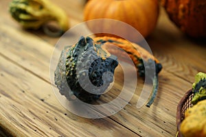 Composition with halloween pumpkins