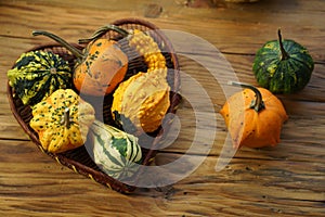 Composition with halloween pumpkins