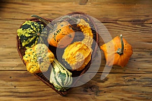 Composition with halloween pumpkins