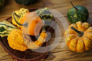 Composition with halloween pumpkins