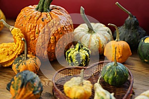 Composition with halloween pumpkins