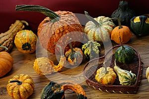 Composition with halloween pumpkins