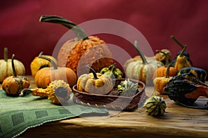 Composition with halloween pumpkins