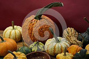 Composition with halloween pumpkins