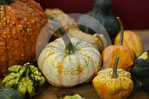 Composition with halloween pumpkins