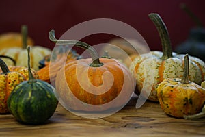 Composition with halloween pumpkins