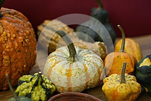 Composition with halloween pumpkins