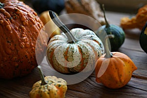 Composition with halloween pumpkins