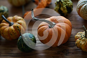 Composition with halloween pumpkins