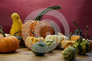 Composition with halloween pumpkins