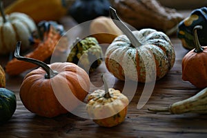 Composition with halloween pumpkins