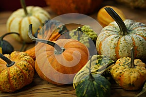 Composition with halloween pumpkins