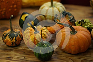 Composition with halloween pumpkins