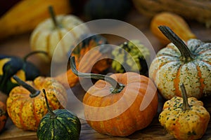 Composition with halloween pumpkins