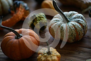 Composition with halloween pumpkins