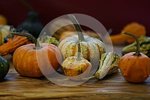 Composition with halloween pumpkins