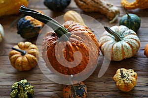 Composition with halloween pumpkins